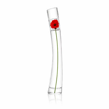 Damen 3er-Set — Beschwingte Eleganz